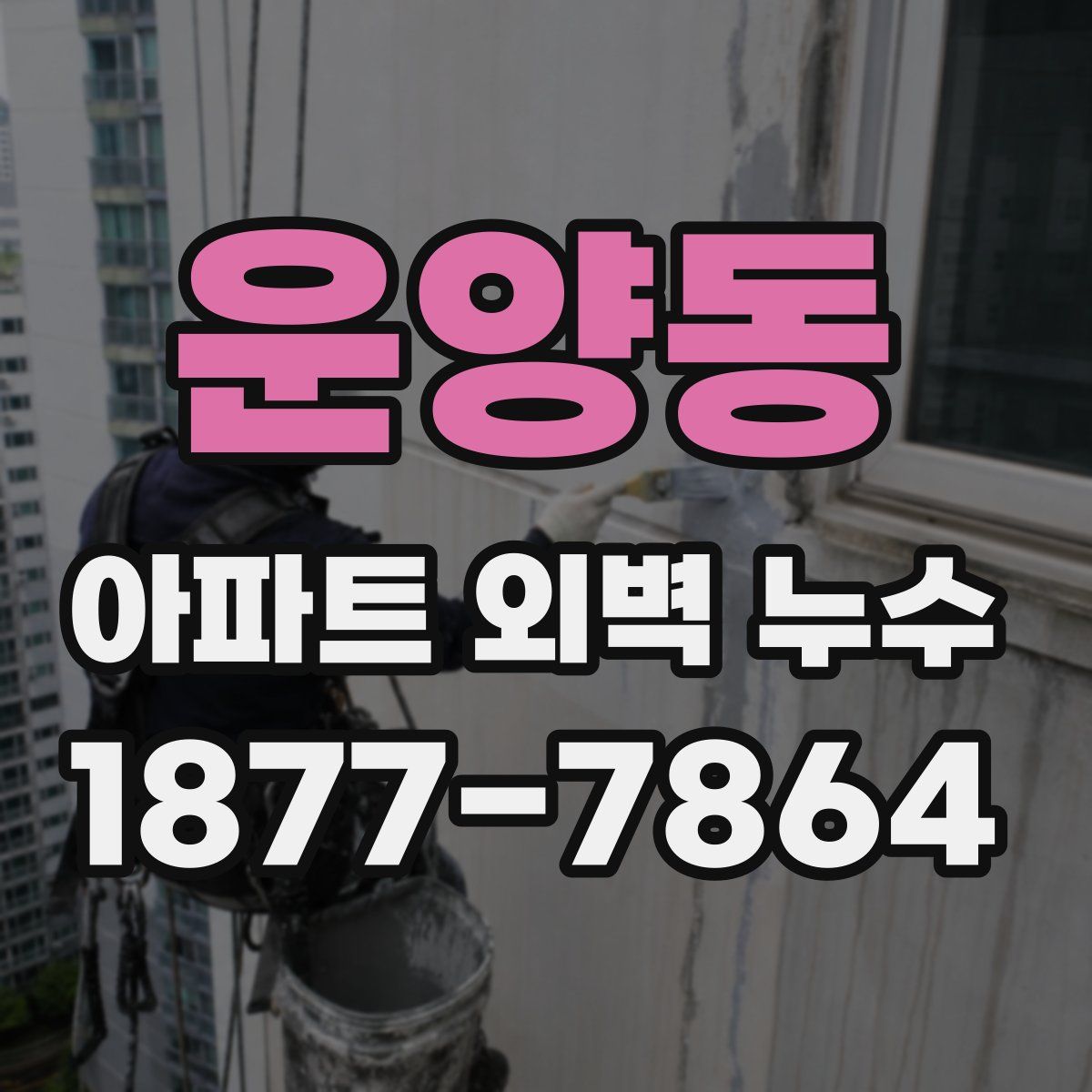 운양동 아파트 외벽 누수