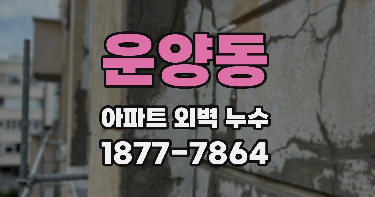 운양동 아파트 외벽 누수