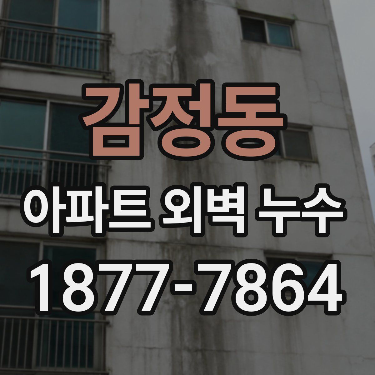 감정동 아파트 외벽 누수