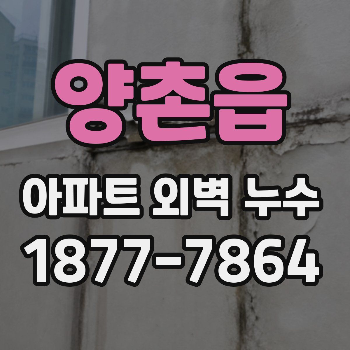 양촌읍 아파트 외벽 누수