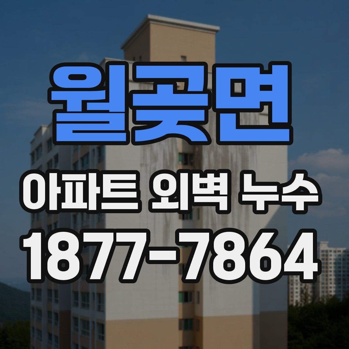 월곶면 아파트 외벽 누수 세대 간 분쟁을 줄이는 기록법