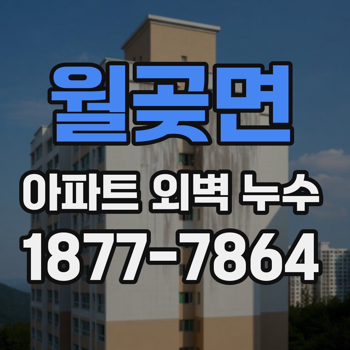 월곶면 아파트 외벽 누수