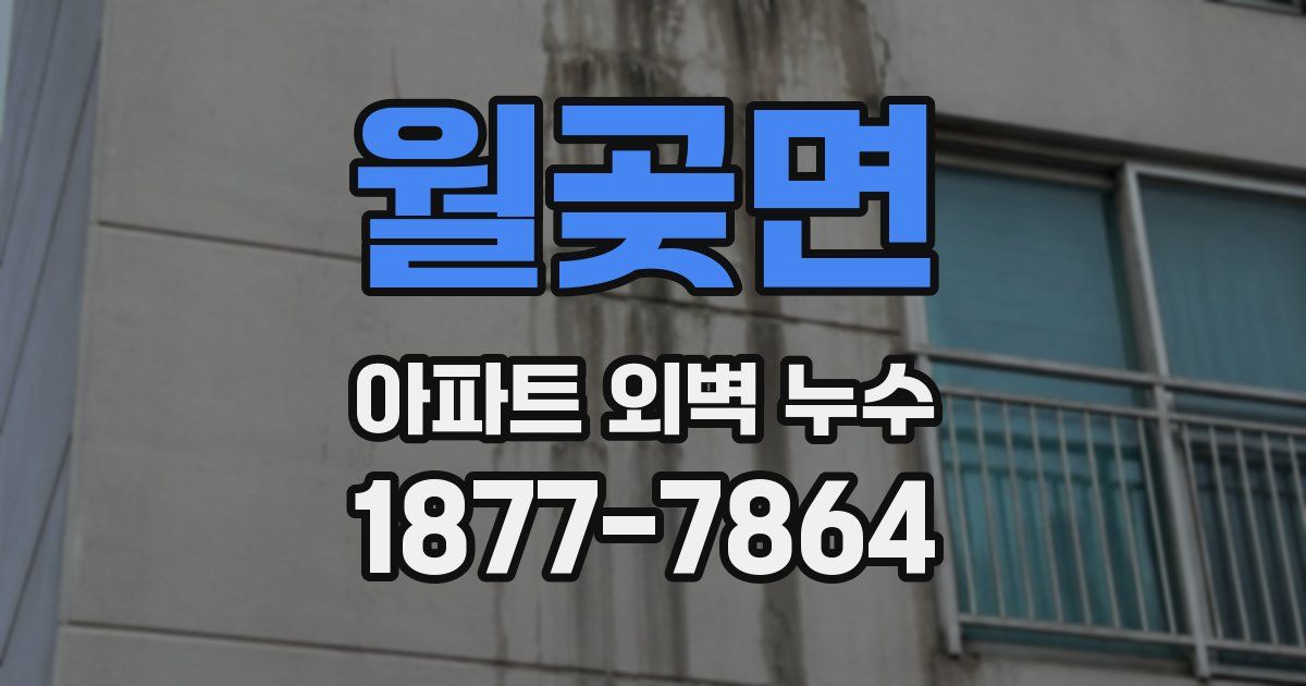 월곶면 아파트 외벽 누수