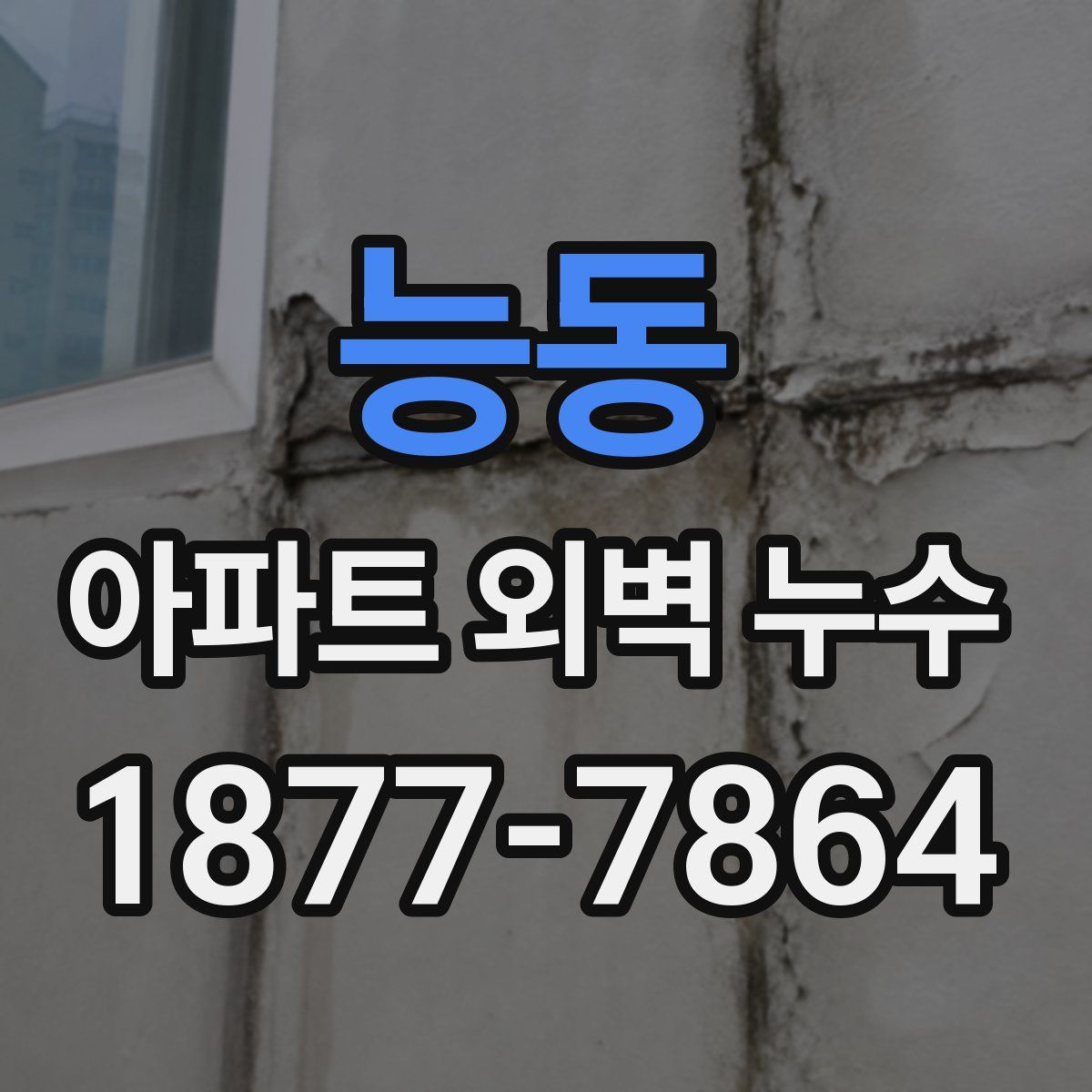 능동 아파트 외벽 누수