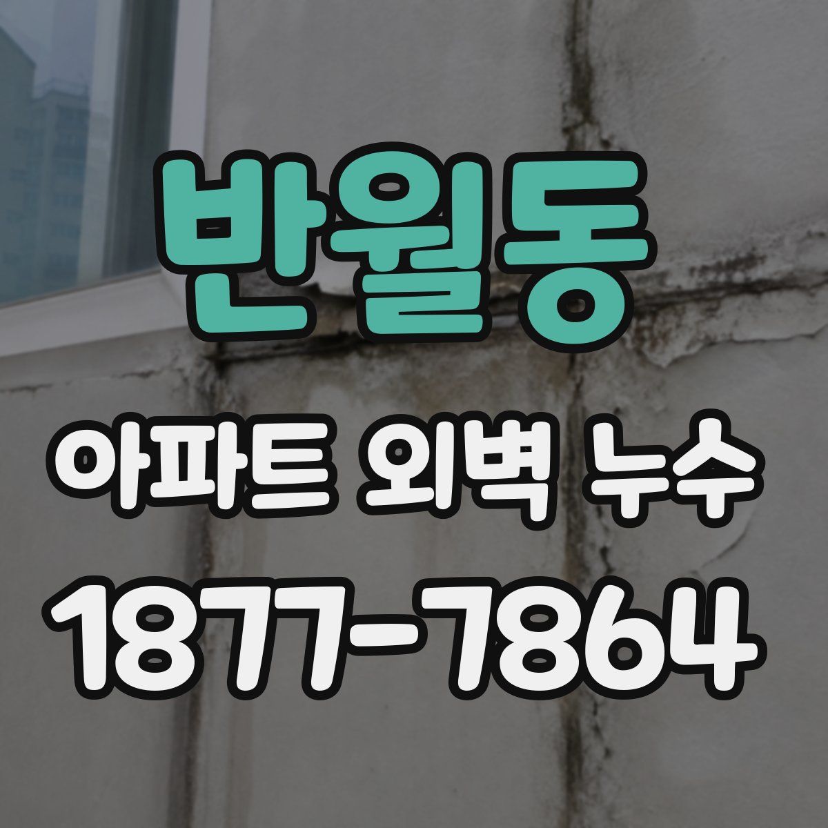 반월동 아파트 외벽 누수