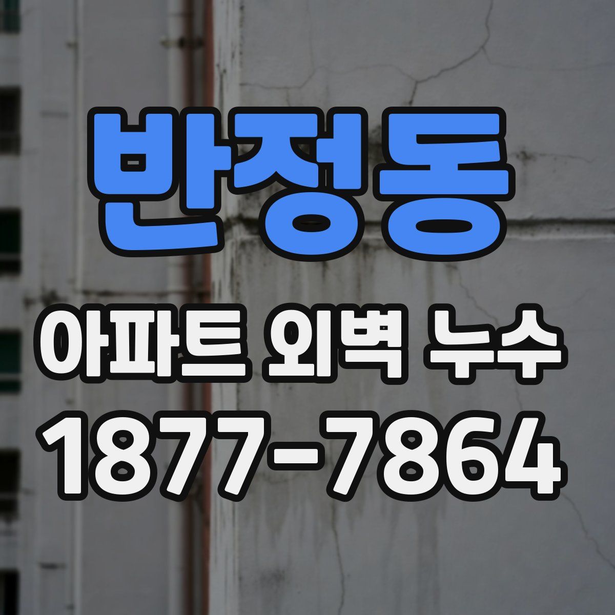 반정동 아파트 외벽 누수