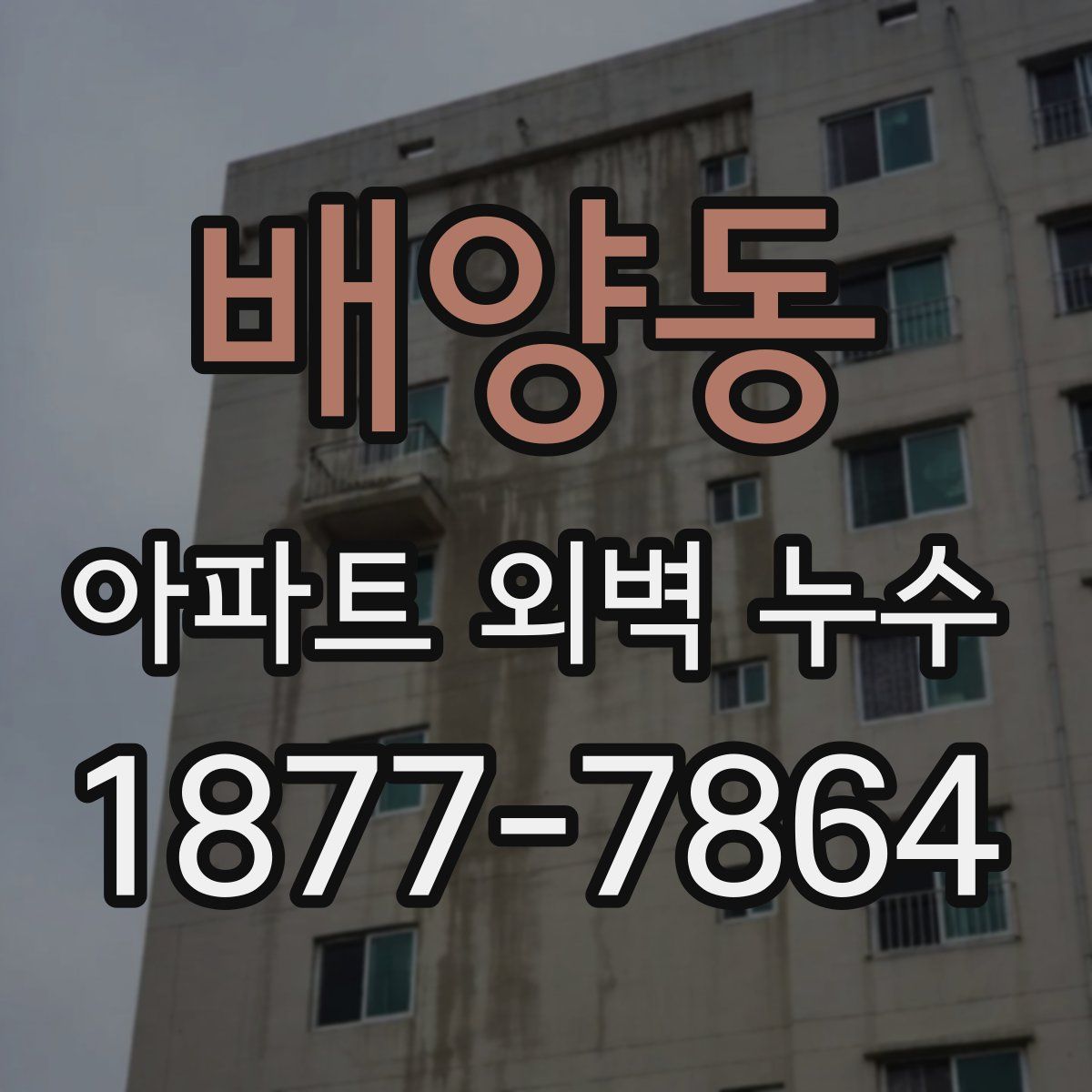 배양동 아파트 외벽 누수
