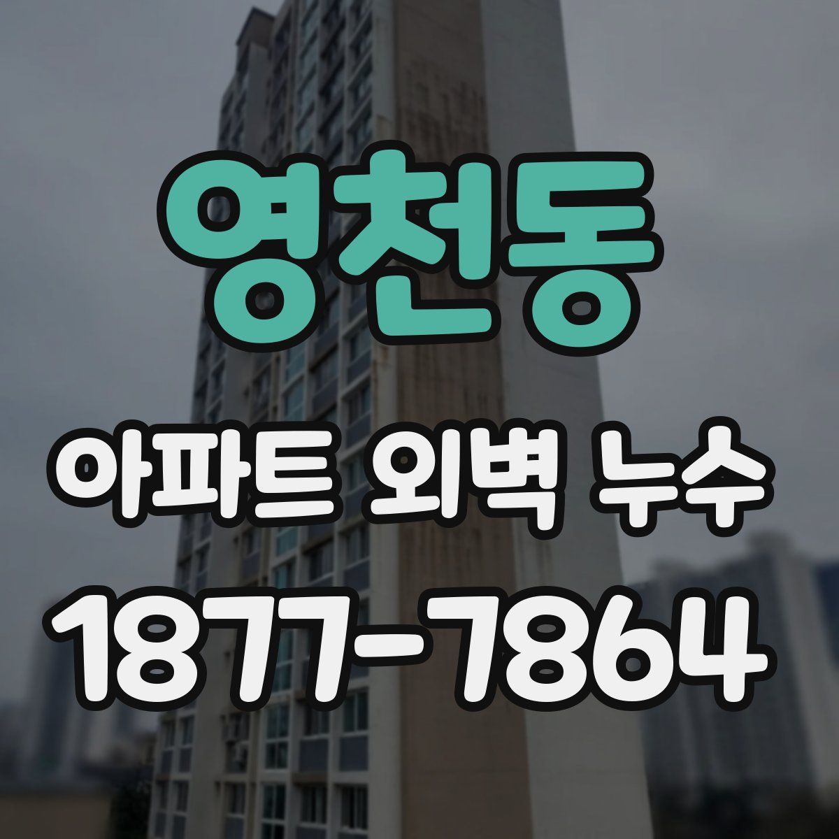 영천동 아파트 외벽 누수