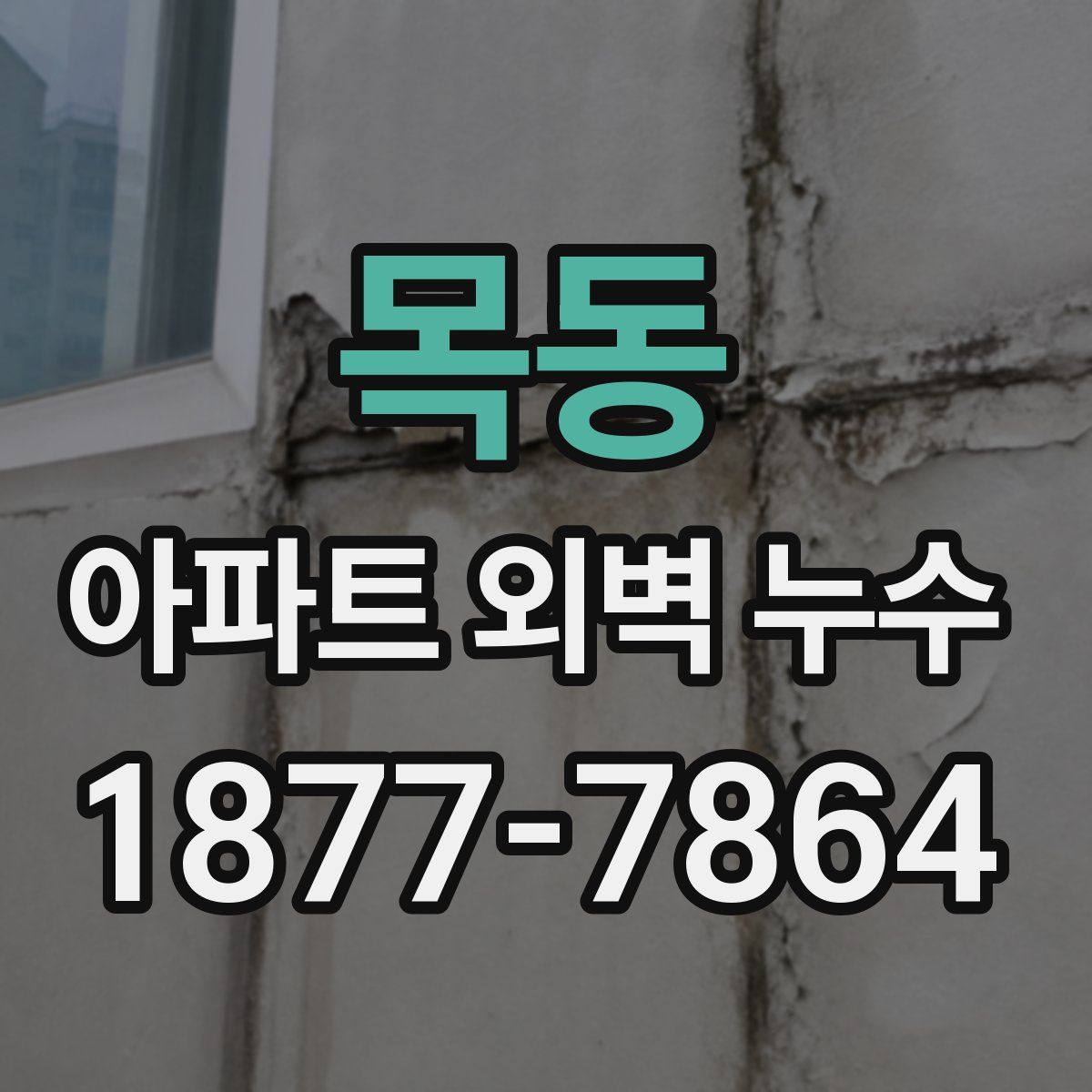 목동 아파트 외벽 누수