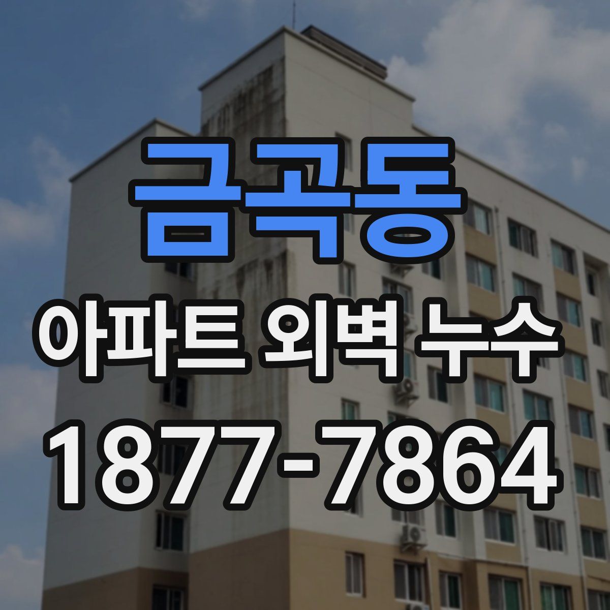 금곡동 아파트 외벽 누수