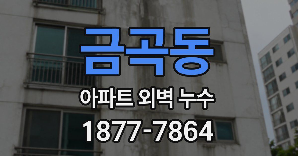 금곡동 아파트 외벽 누수