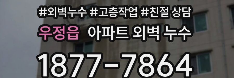 우정읍 아파트 외벽 누수