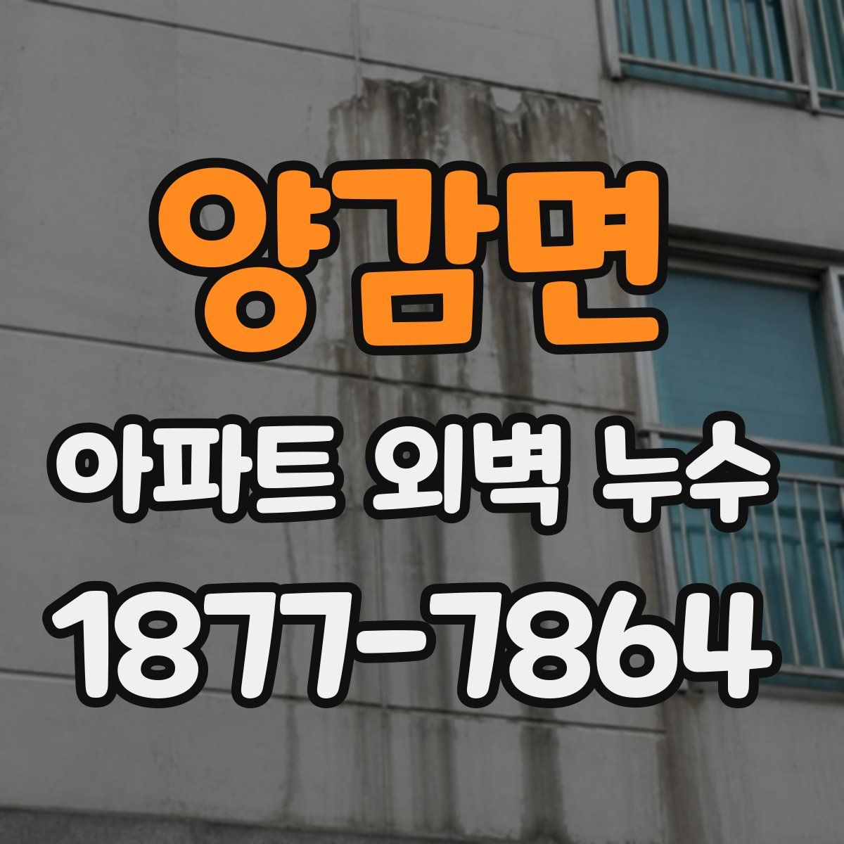 양감면 아파트 외벽 누수