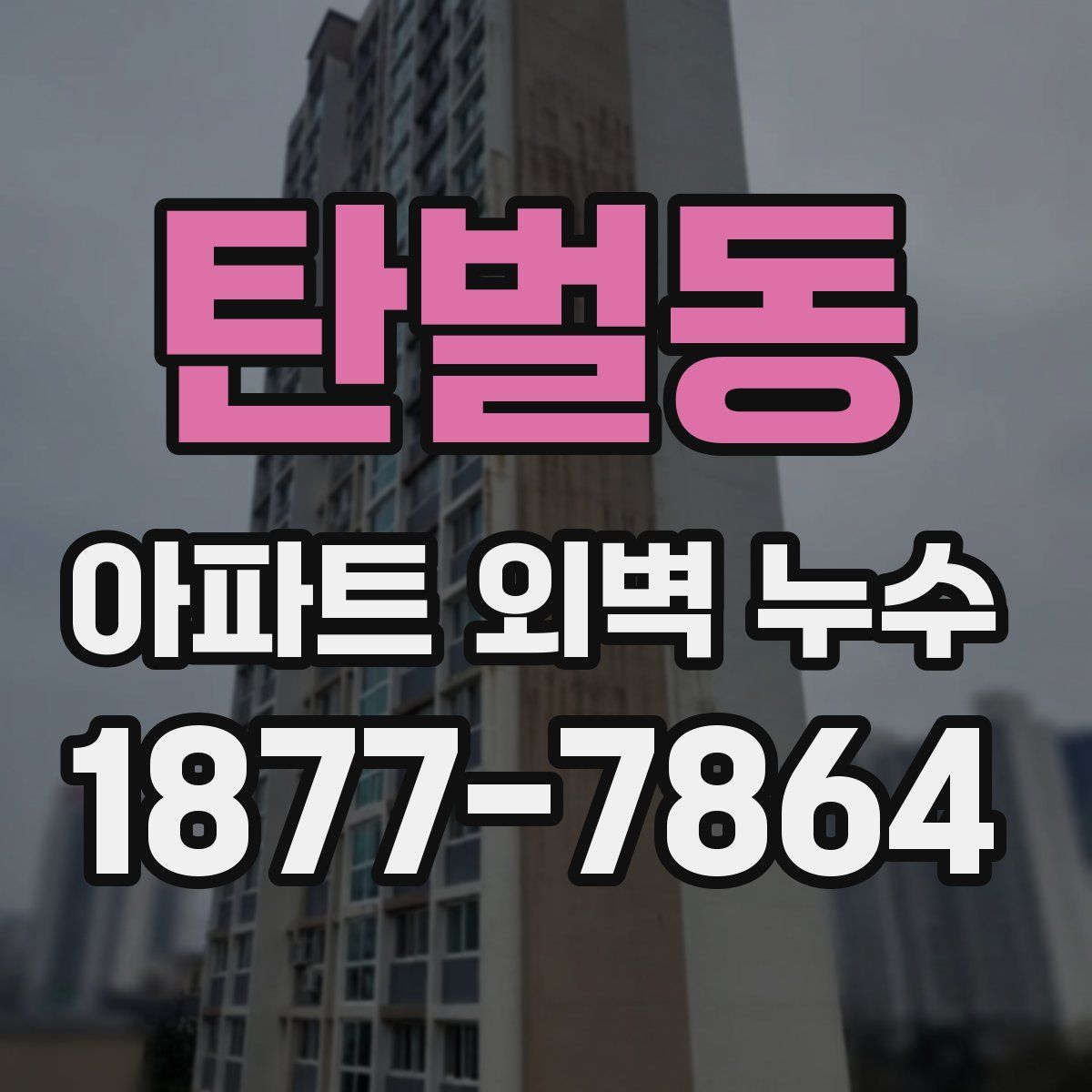 탄벌동 아파트 외벽 누수