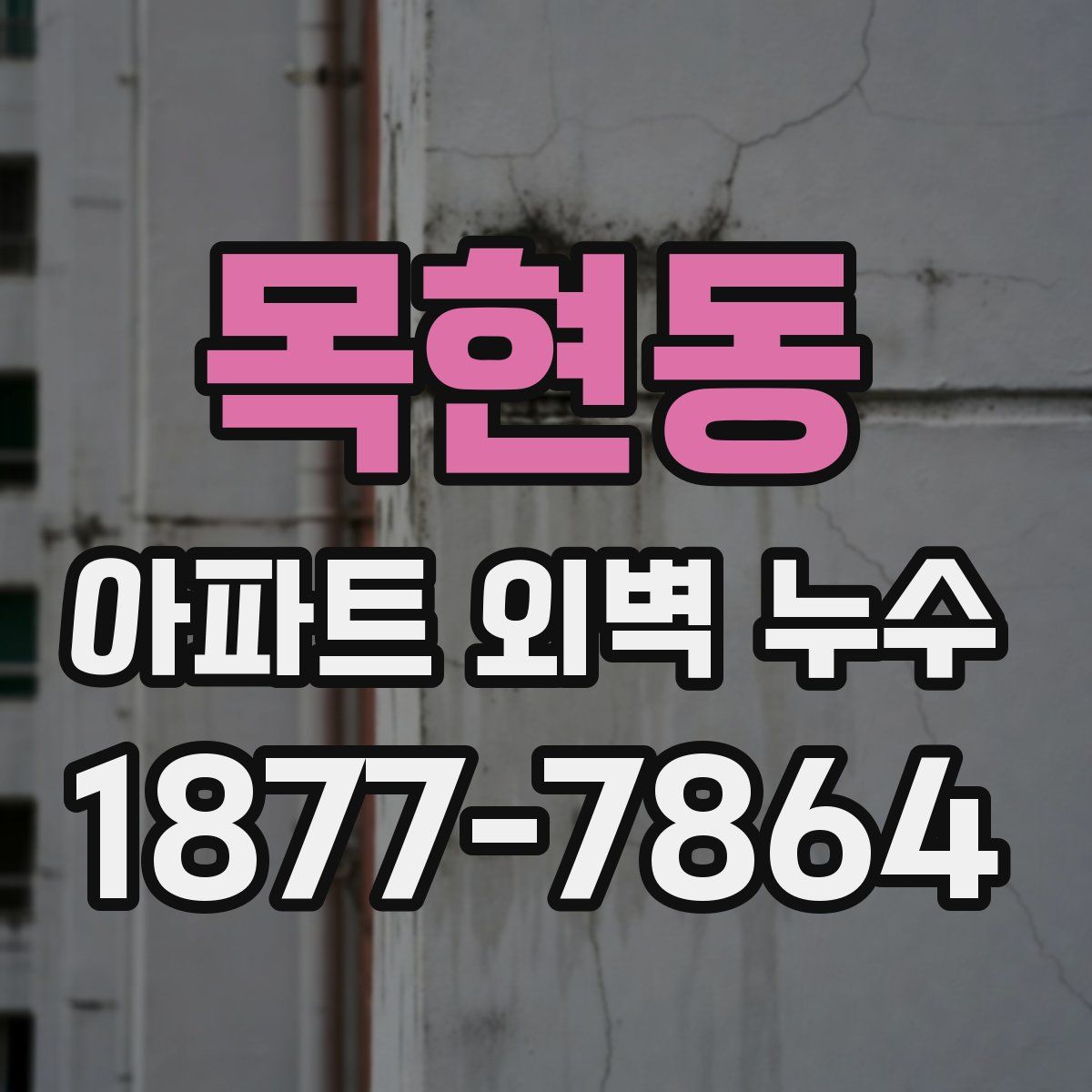 목현동 아파트 외벽 누수