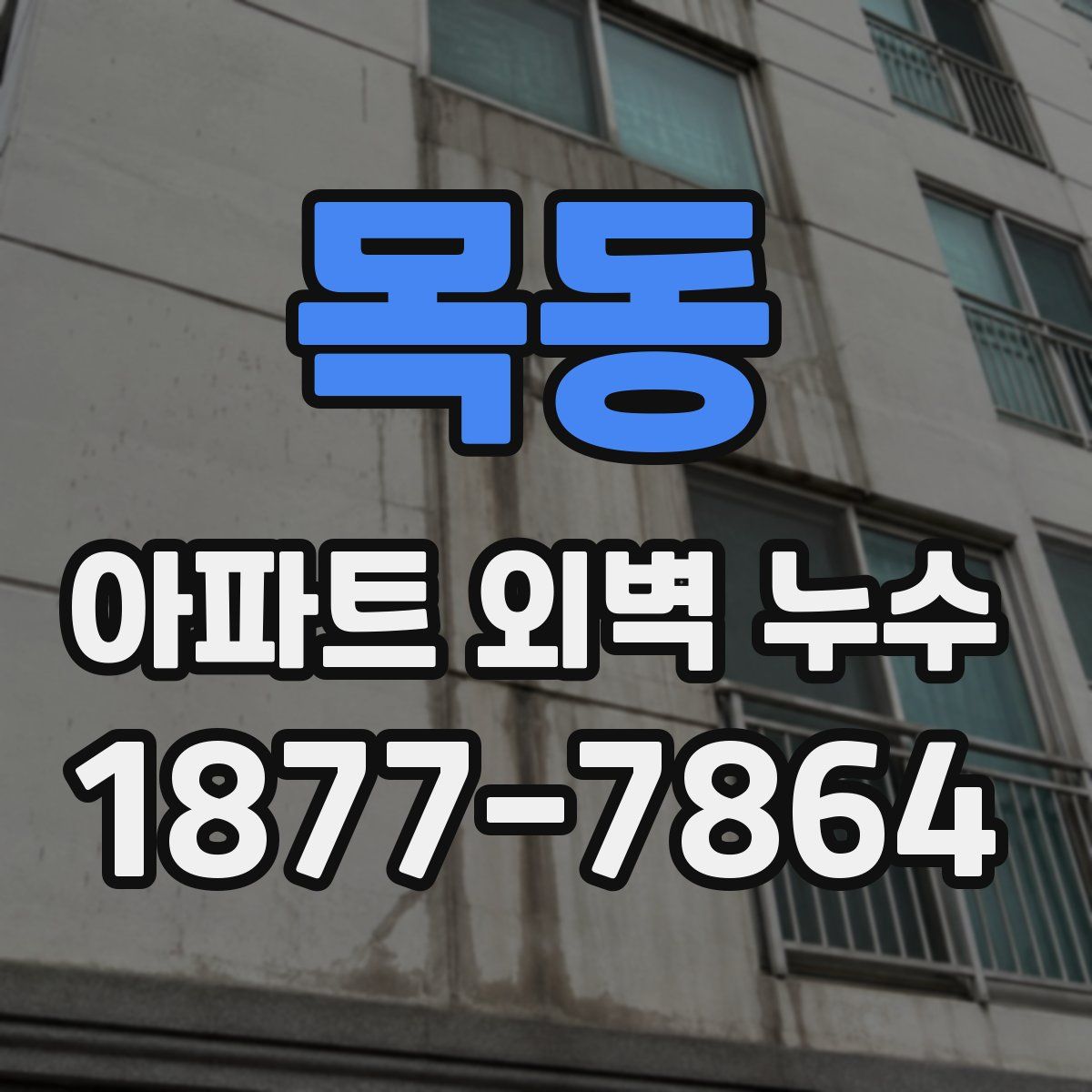 목동 아파트 외벽 누수