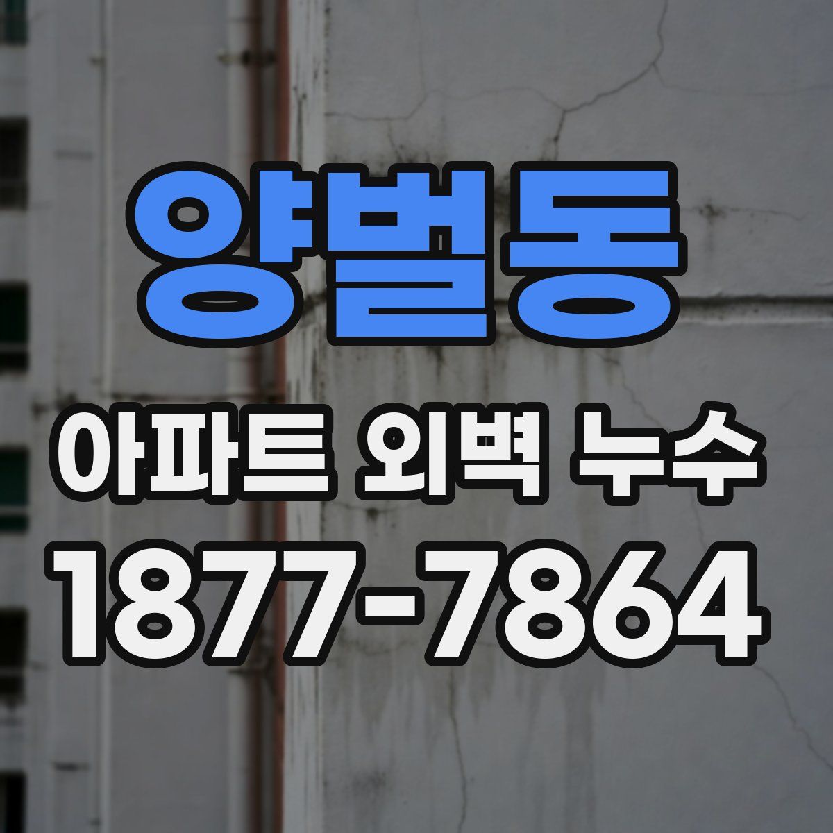 양벌동 아파트 외벽 누수
