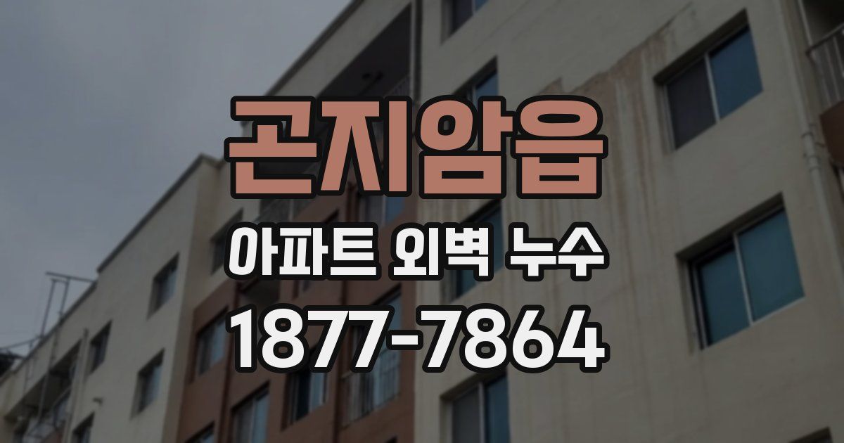 곤지암읍 아파트 외벽 누수