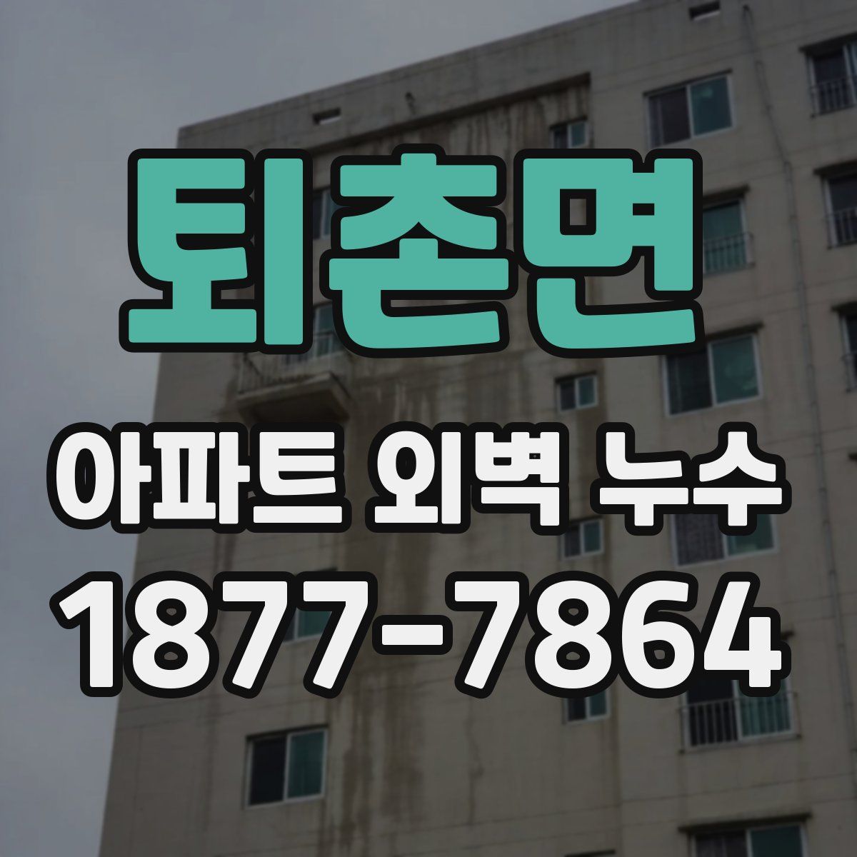 퇴촌면 아파트 외벽 누수