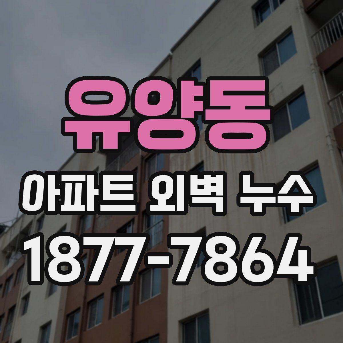 유양동 아파트 외벽 누수
