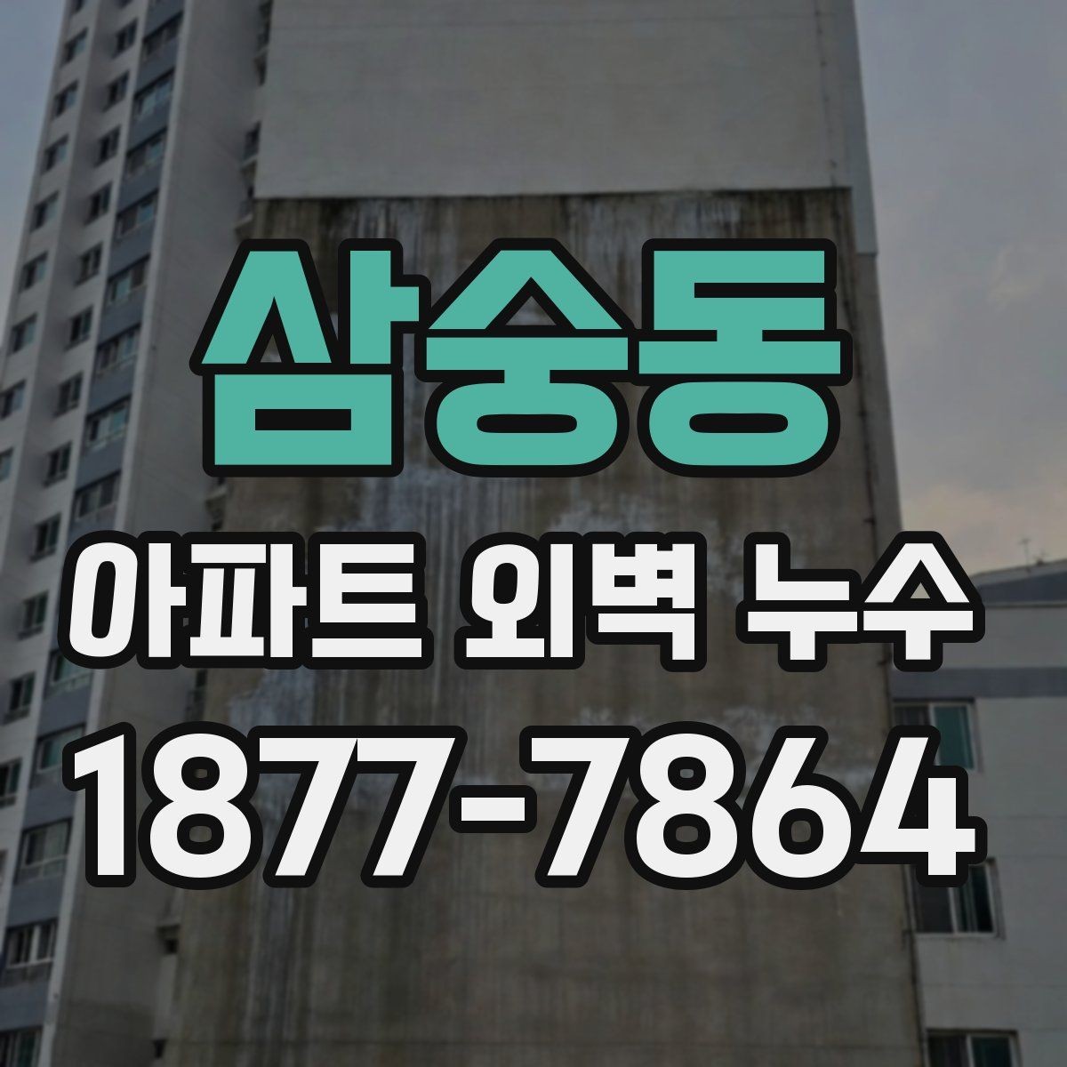 삼숭동 아파트 외벽 누수 보수 업체를 고를 때 보는 기준