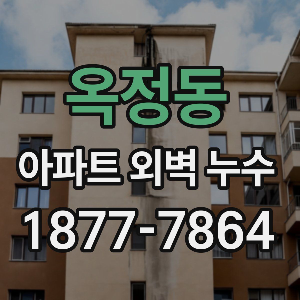 옥정동 아파트 외벽 누수