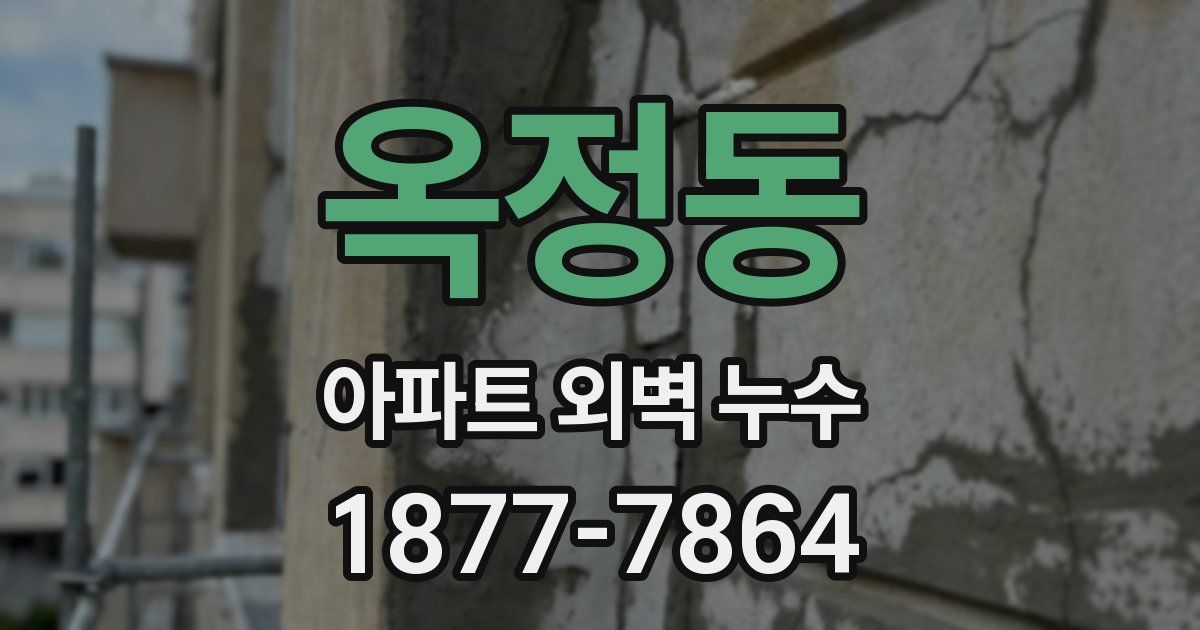옥정동 아파트 외벽 누수