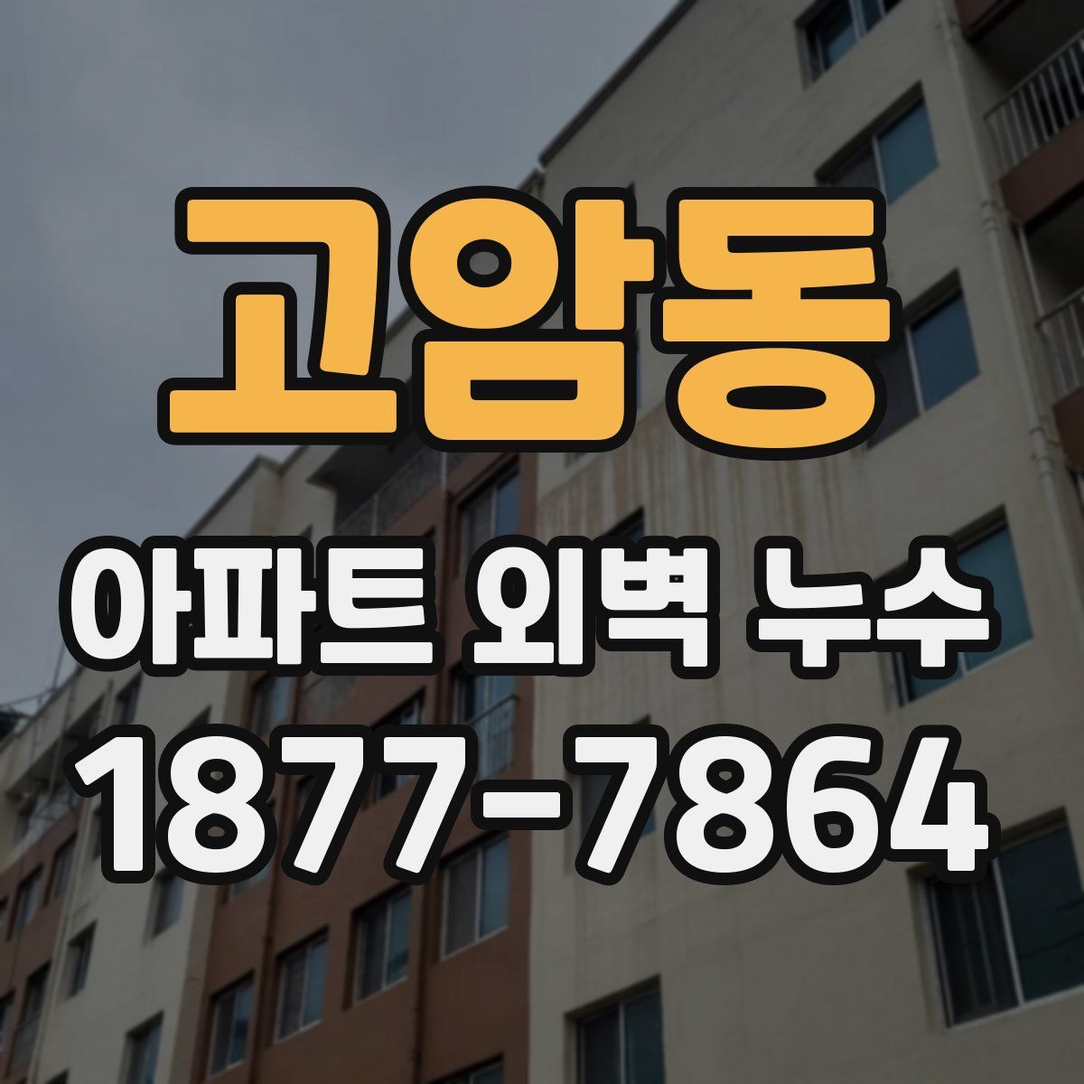 고암동 아파트 외벽 누수