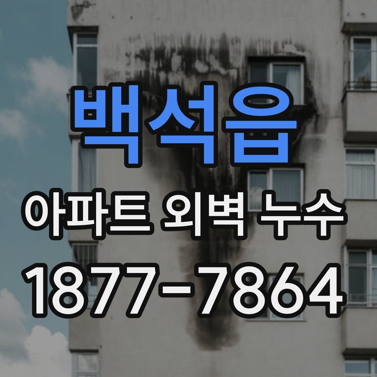 백석읍 아파트 외벽 누수