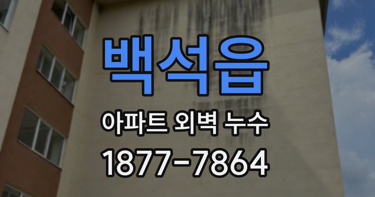 백석읍 아파트 외벽 누수