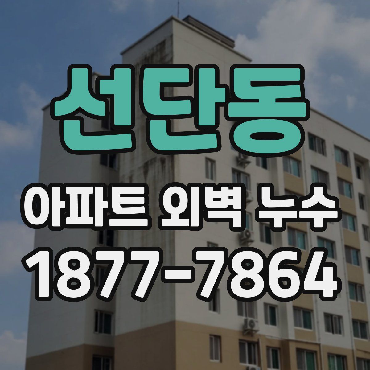 선단동 아파트 외벽 누수