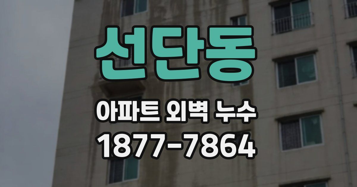 선단동 아파트 외벽 누수
