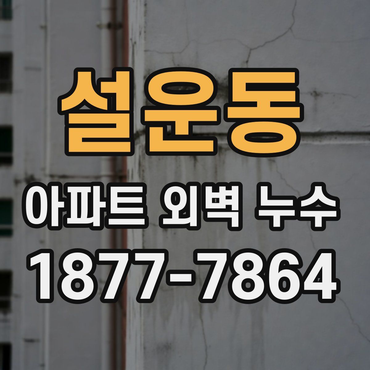 설운동 아파트 외벽 누수