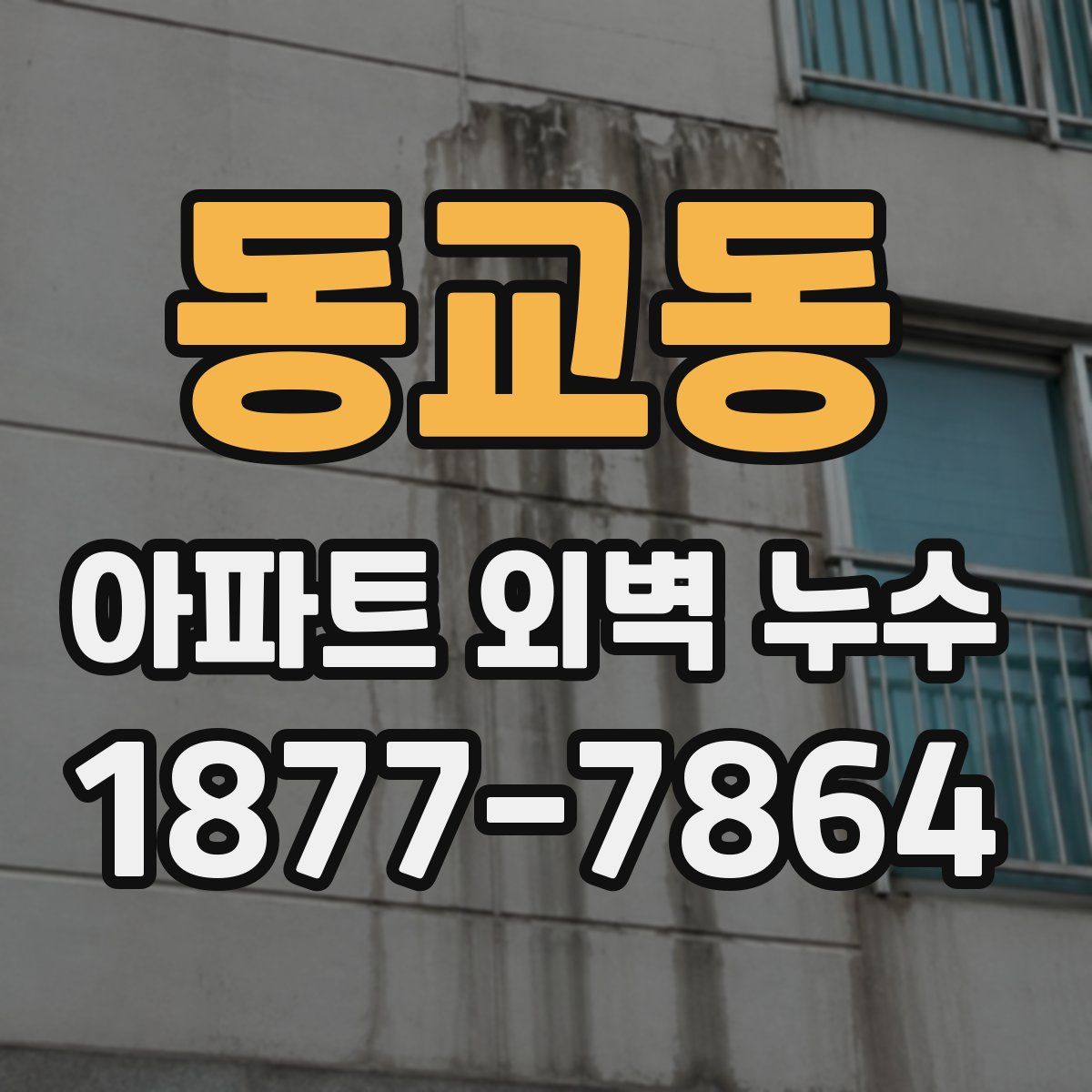 동교동 아파트 외벽 누수