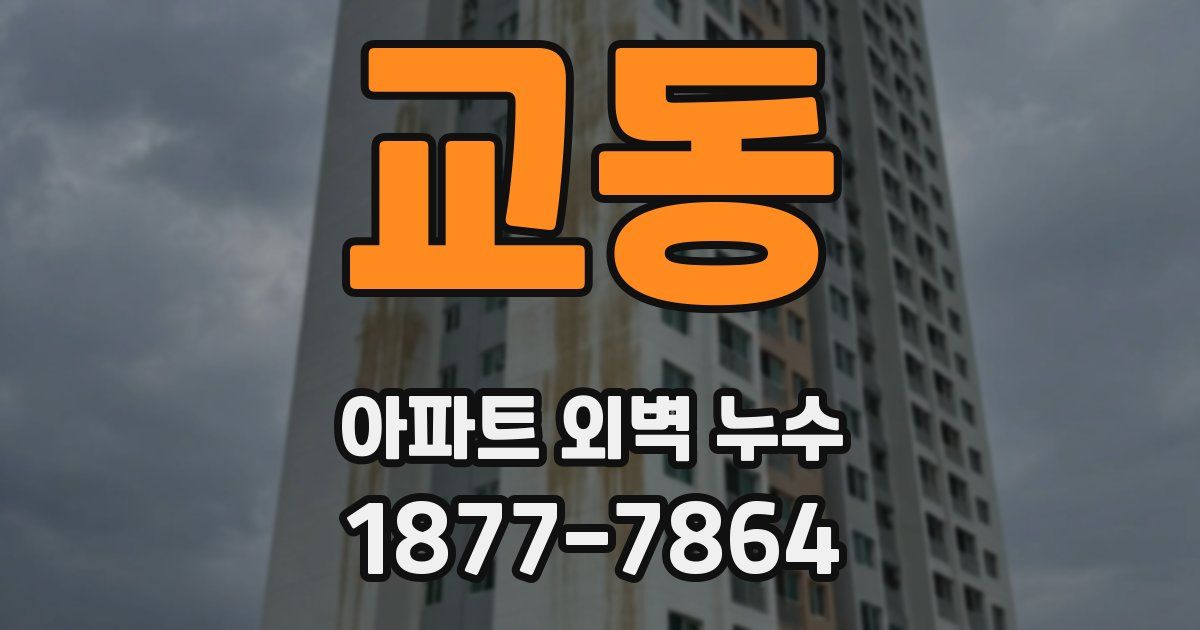 교동 아파트 외벽 누수