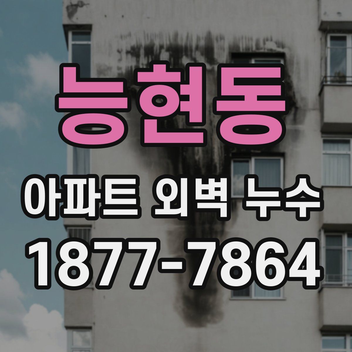 능현동 아파트 외벽 누수