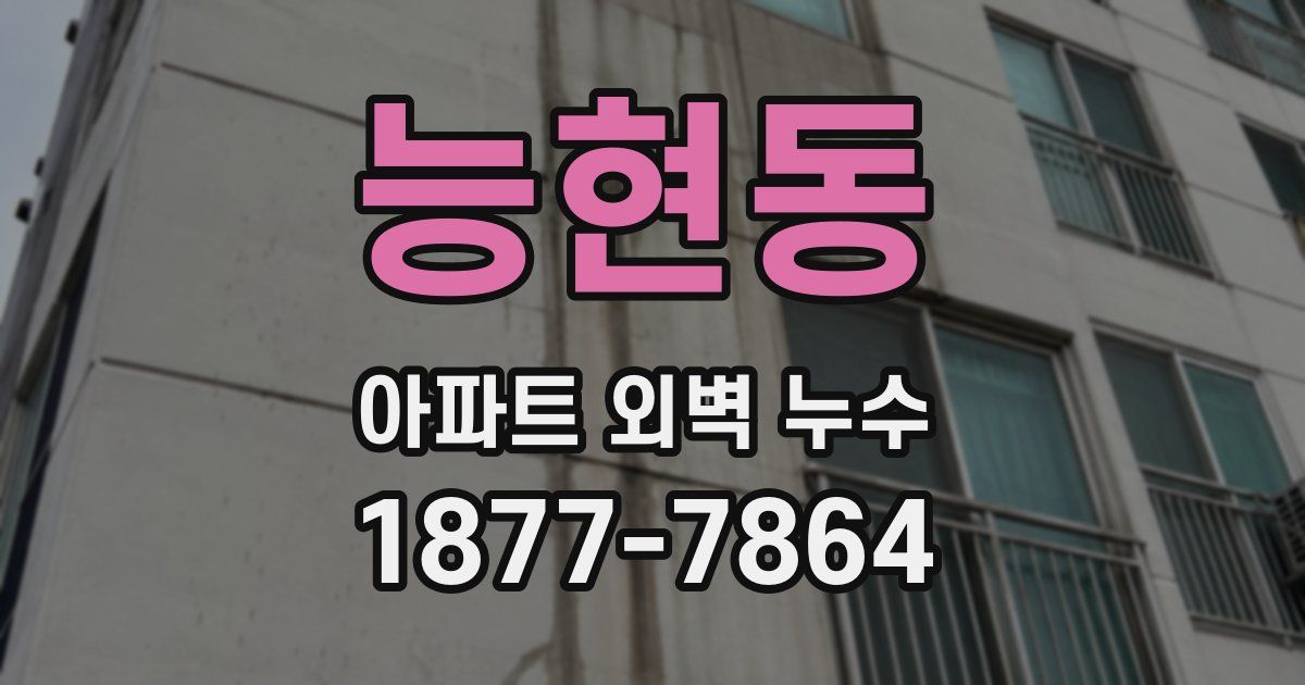 능현동 아파트 외벽 누수