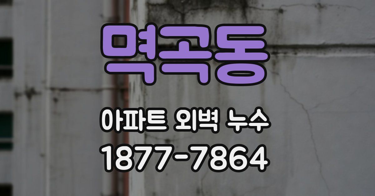 멱곡동 아파트 외벽 누수