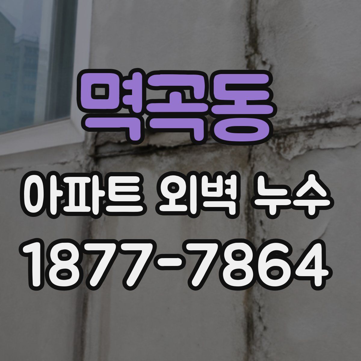 멱곡동 아파트 외벽 누수