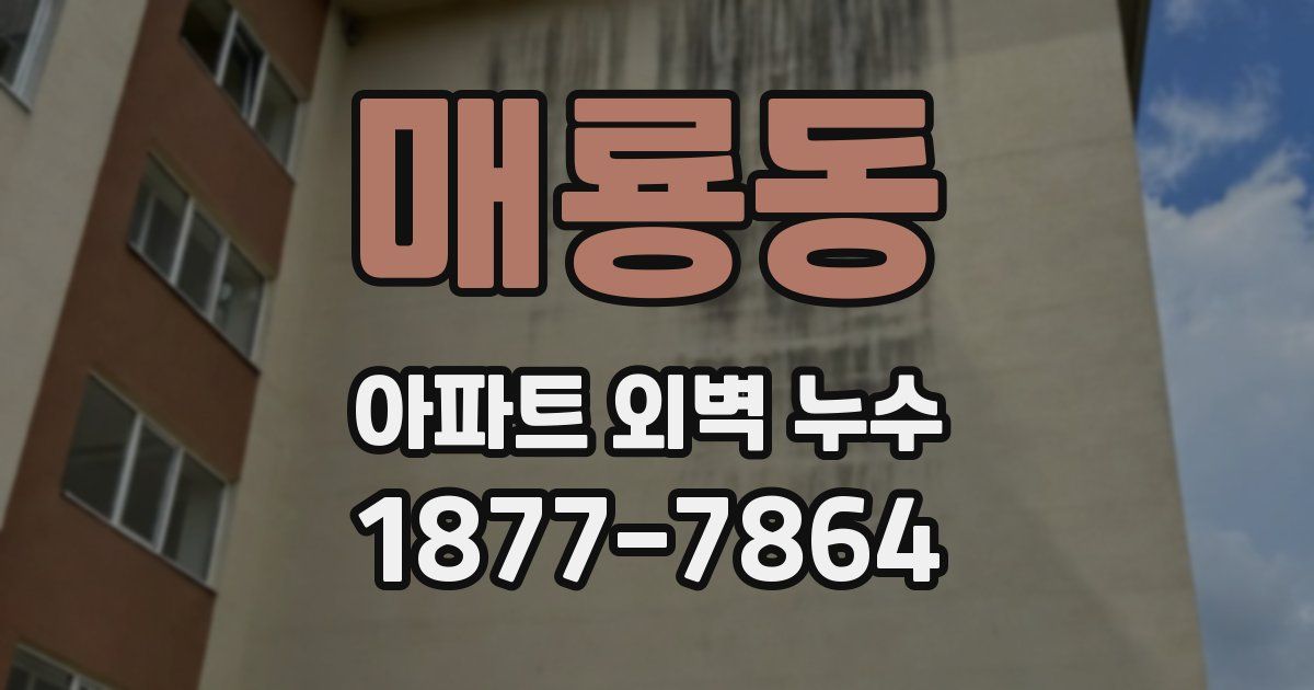 매룡동 아파트 외벽 누수