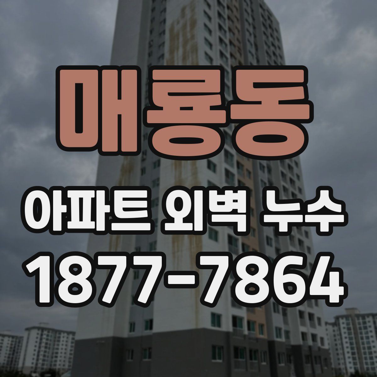 매룡동 아파트 외벽 누수