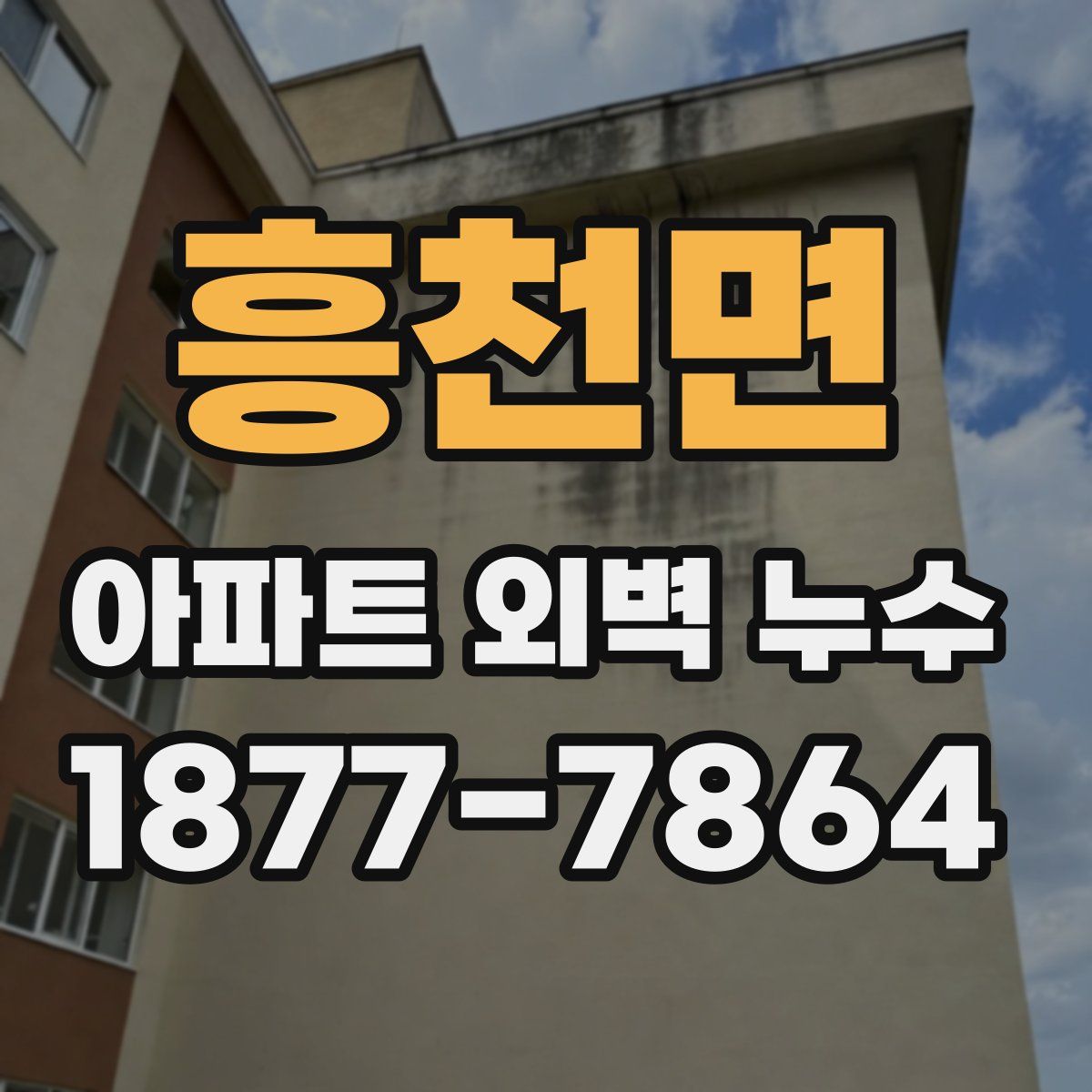 흥천면 아파트 외벽 누수