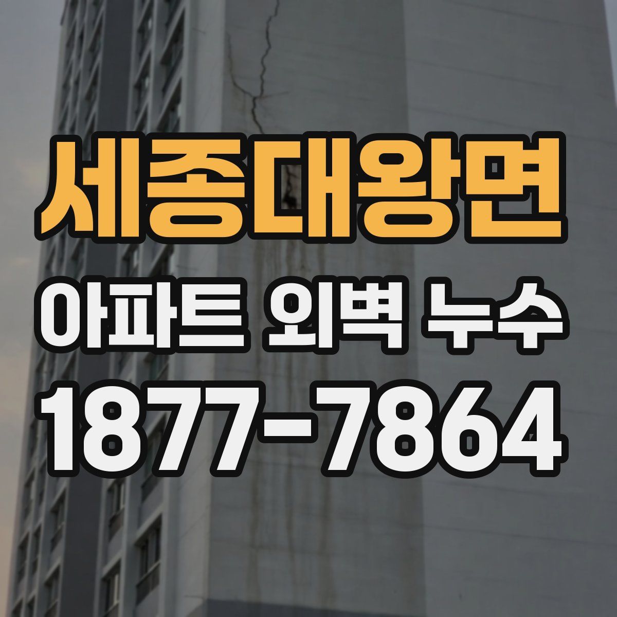 세종대왕면 아파트 외벽 누수