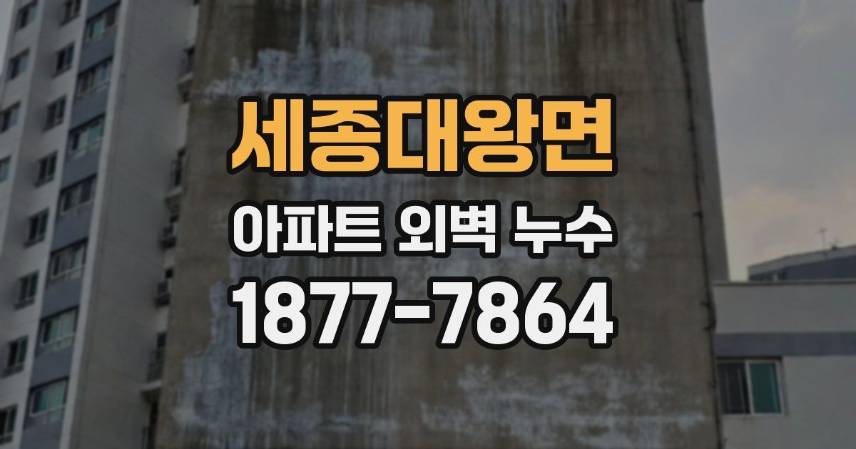 세종대왕면 아파트 외벽 누수