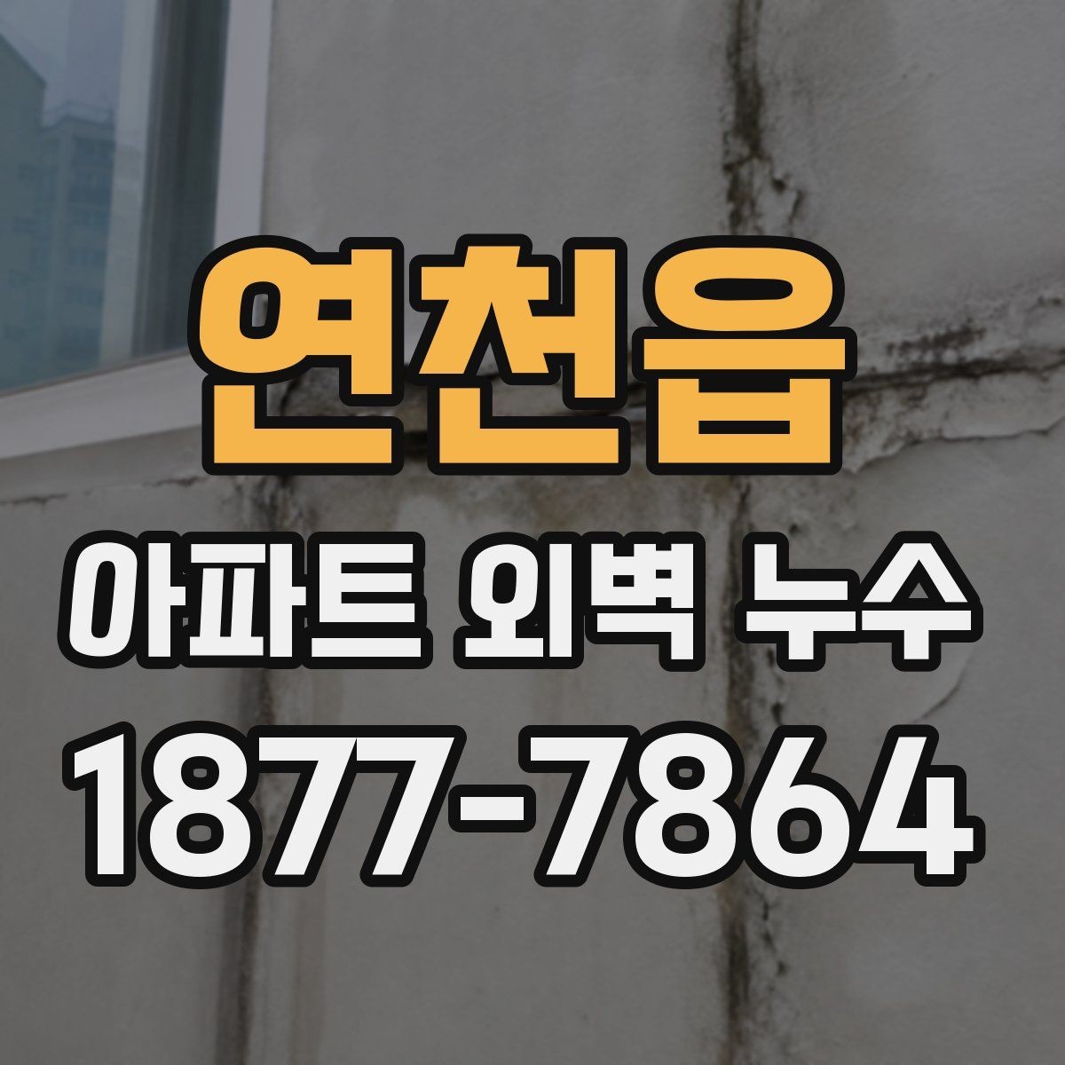 연천읍 아파트 외벽 누수 계절별 발생 특징