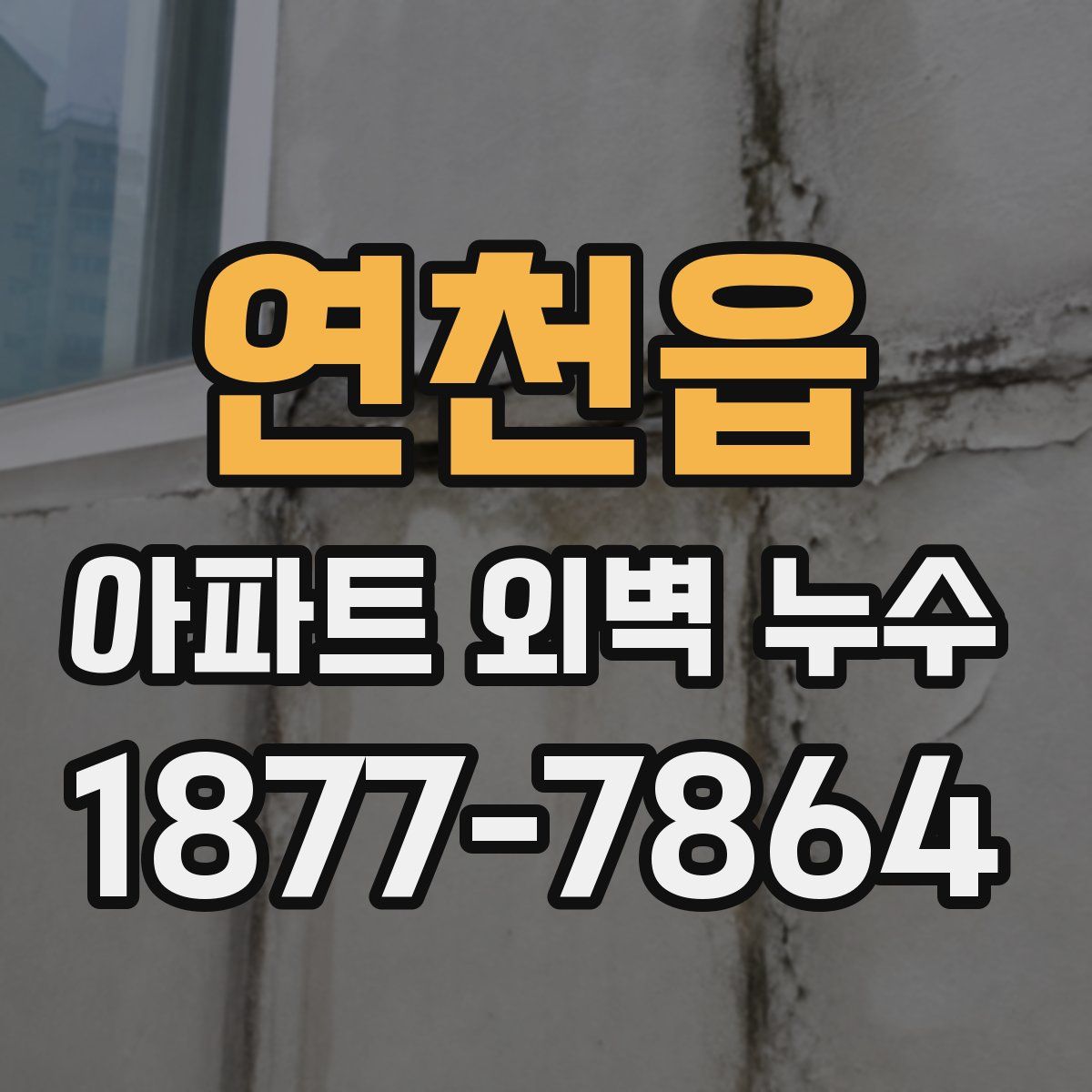 연천읍 아파트 외벽 누수