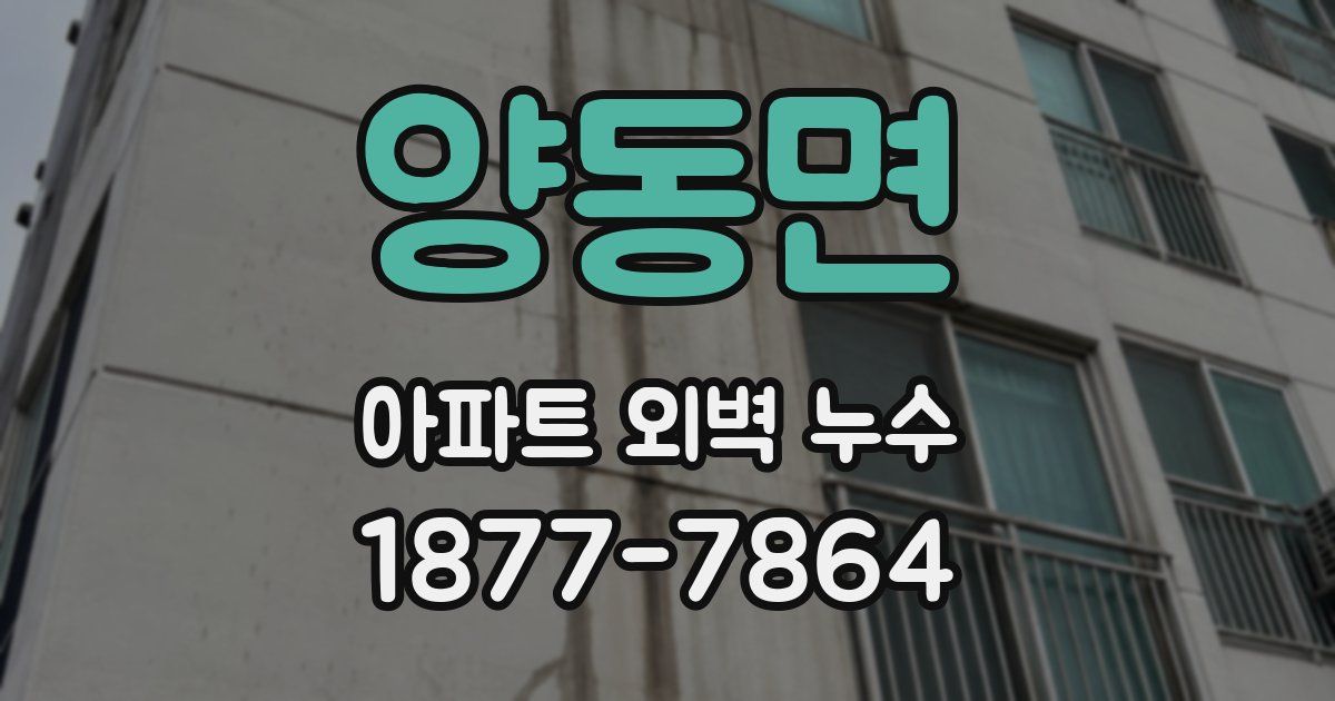 양동면 아파트 외벽 누수