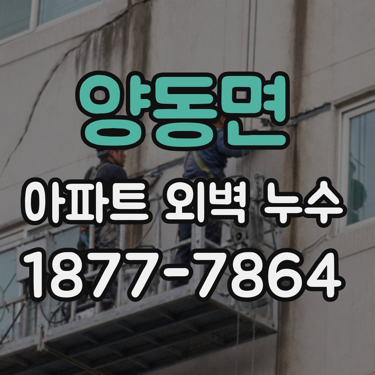 양동면 아파트 외벽 누수