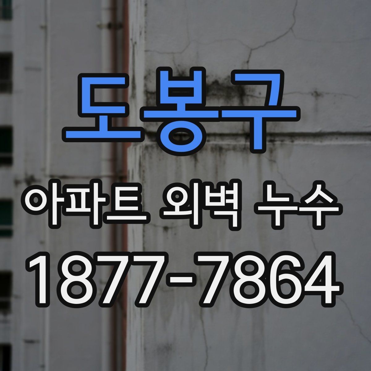 도봉구 아파트 외벽 누수 판단을 위한 기본 점검 항목