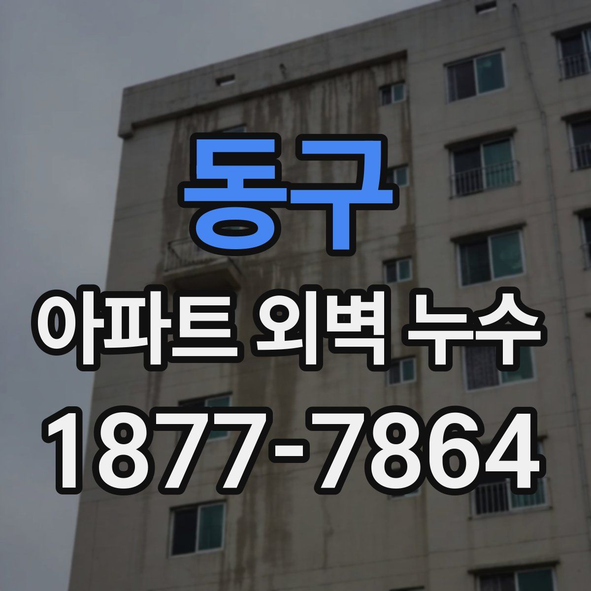동구 아파트 외벽 누수
